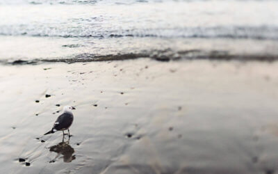 Top Accounting Tips for Northern Rivers Start-Ups